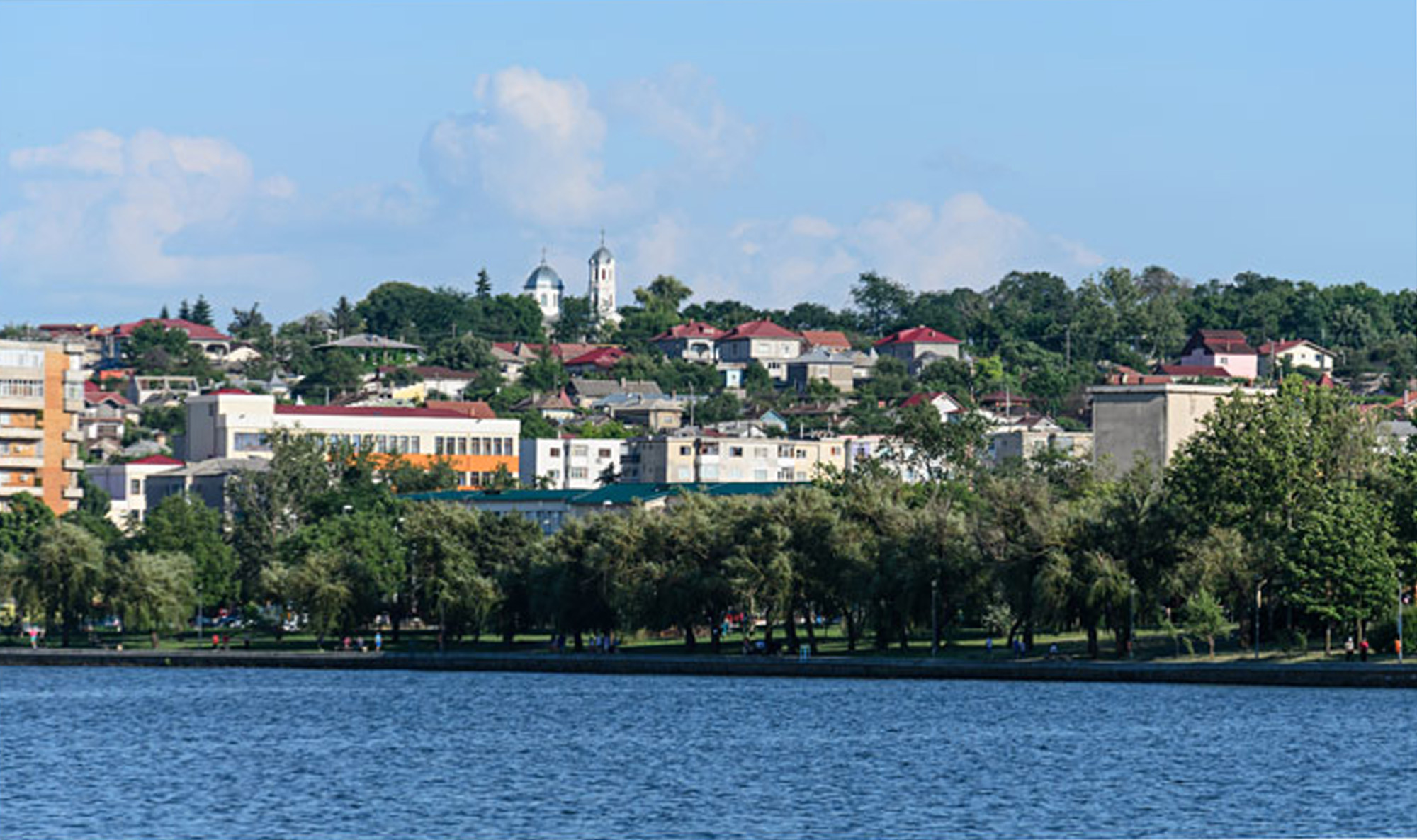 Poza 12
